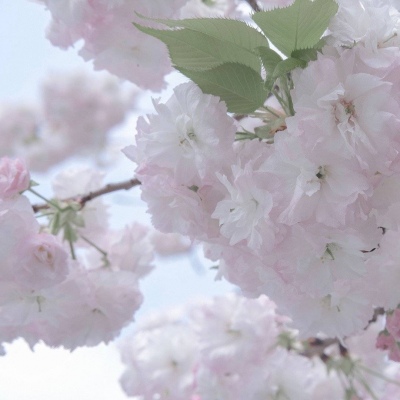 Furry绘画质感技巧FurryQQ群